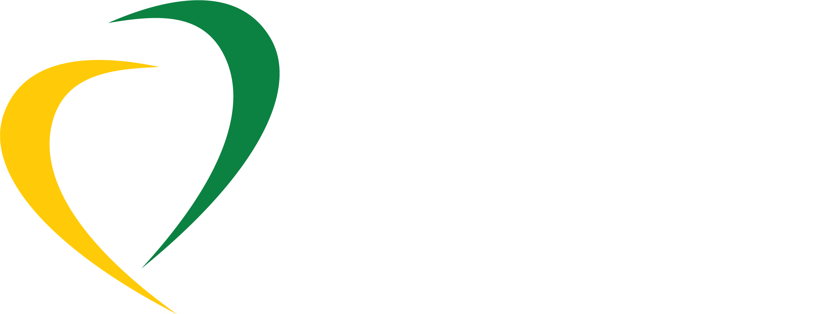 Instituto Brasil Solidário